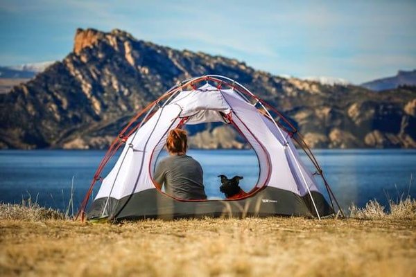 Les meilleurs campings pour chien en Vendée : vacances parfaites pour votre compagnon à quatre pattes!